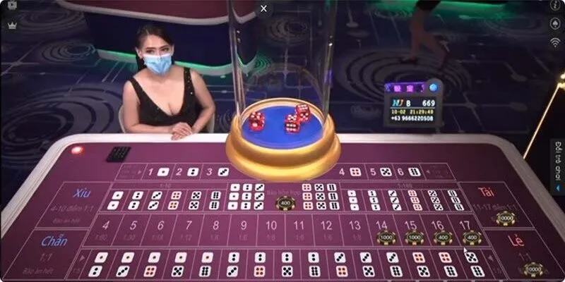 Mẹo theo cầu tài xỉu không bị nhiễu từ chuyên gia